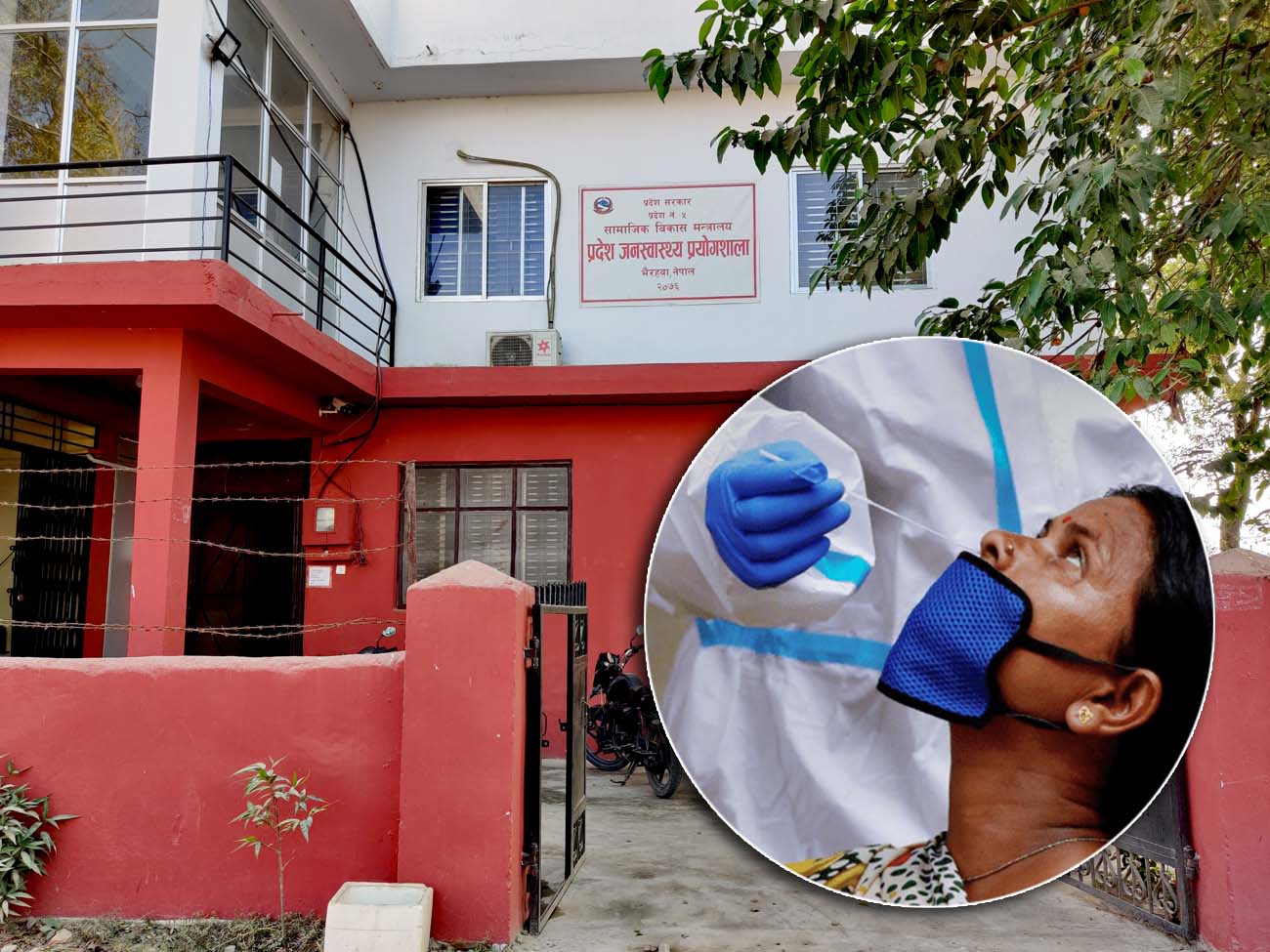 प्रदेश जनस्वास्थ्य प्रयोगशाला भैरहवा ।